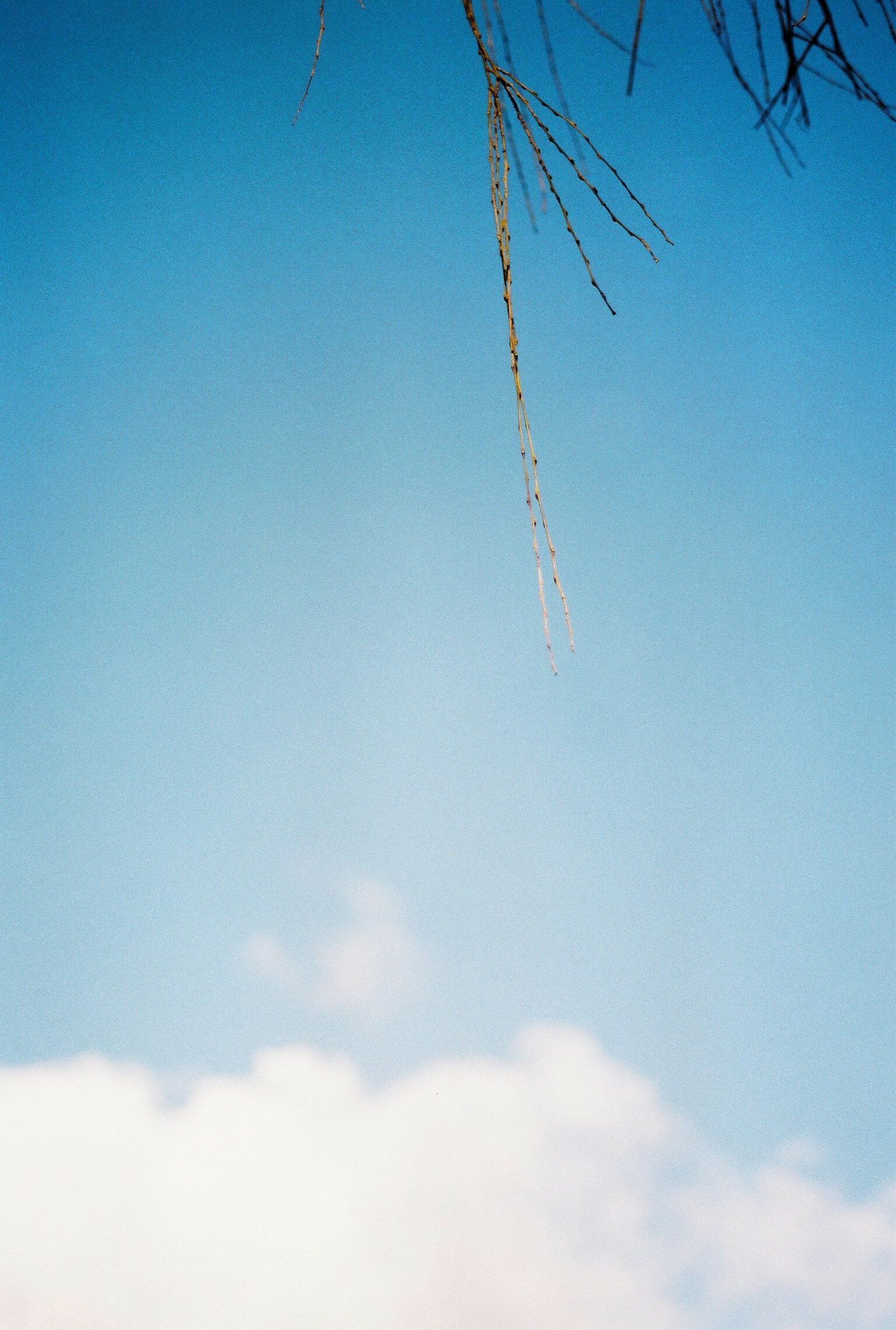 000020-3