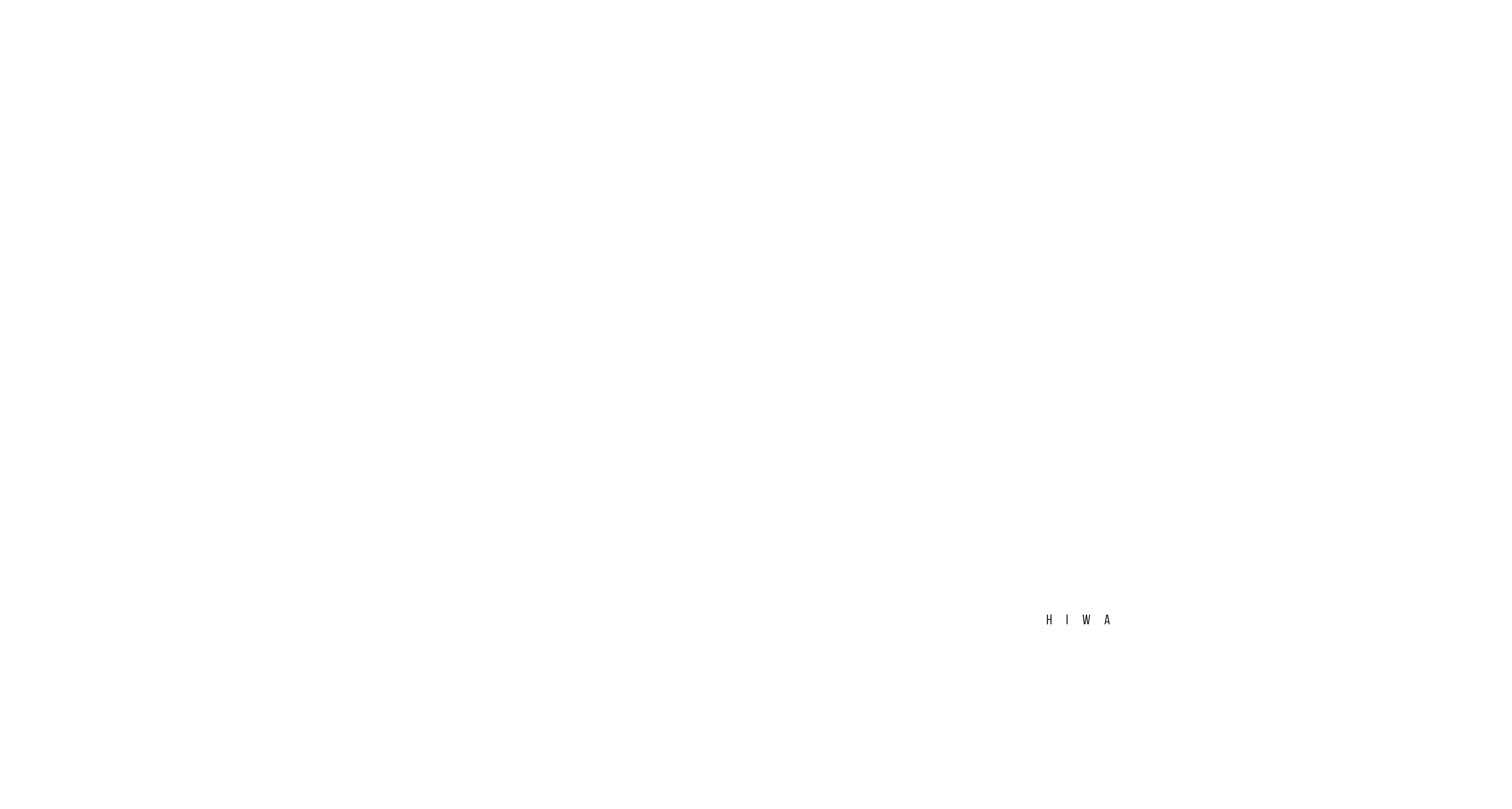 Luciano-Hiwat-Logo-presentatie-_logo-design-options-13