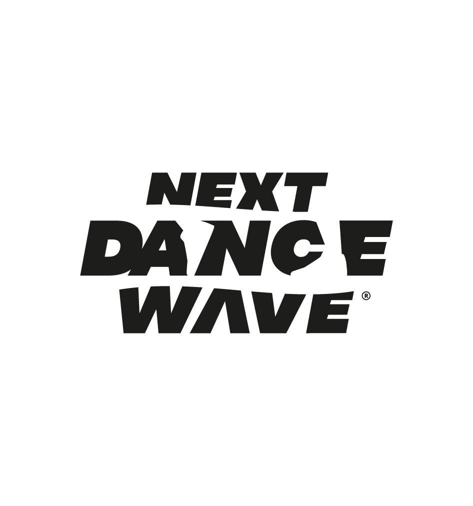 NDW-Logo-presentatie-_website-05