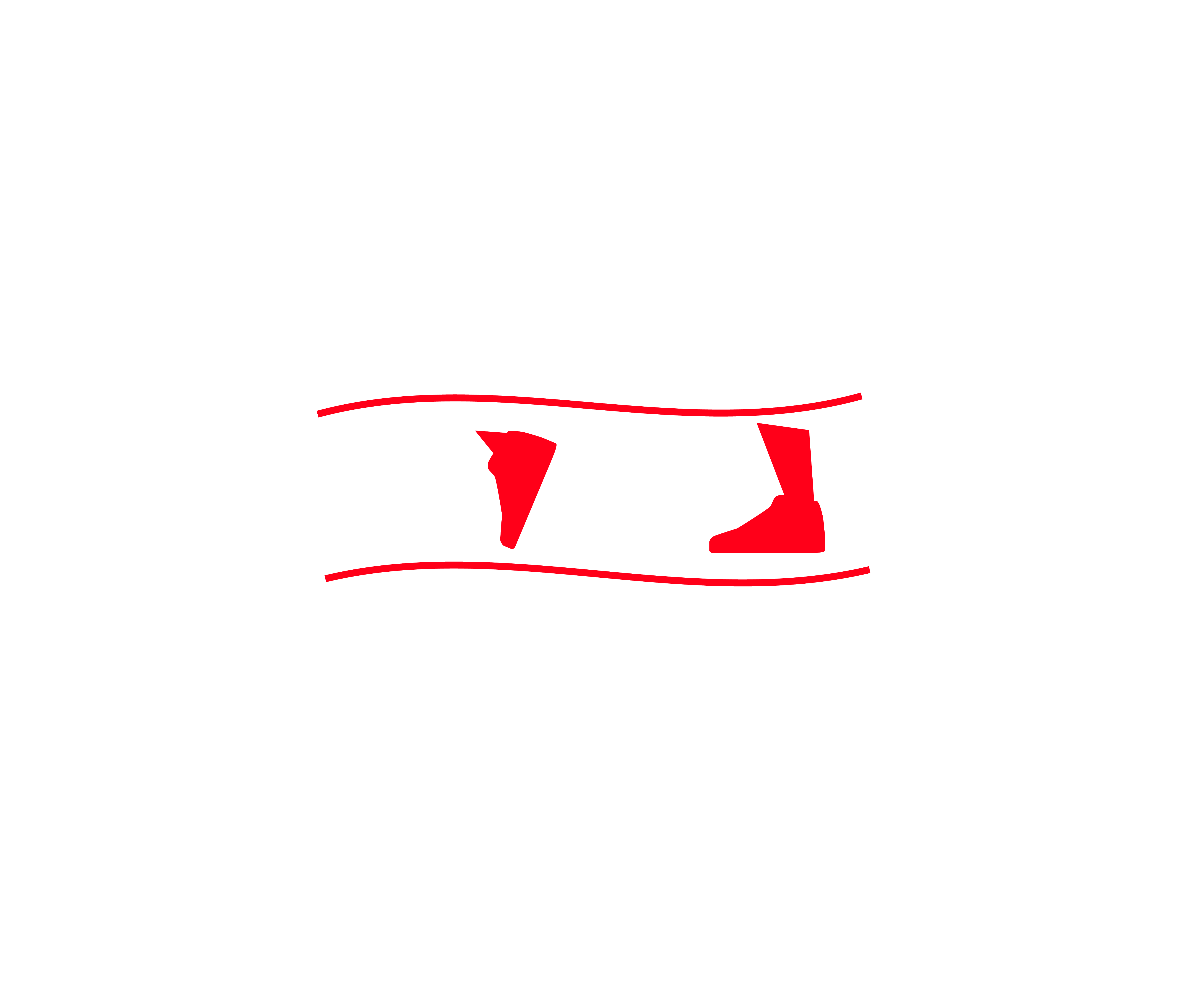 NDW-Logo-presentatie-_website-08