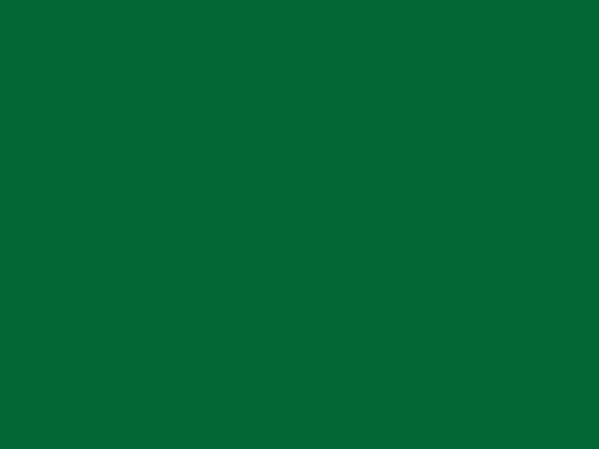 Mindful-green