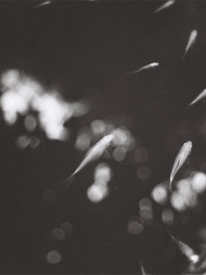 ABSTRACT-staand